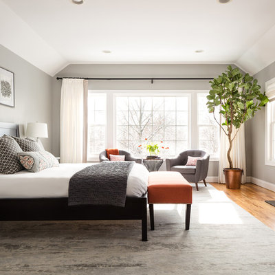 Bedroom - large transitional master medium tone wood floor and brown floor bedroom idea in New York with gray walls, a standard fireplace and a stone fireplace