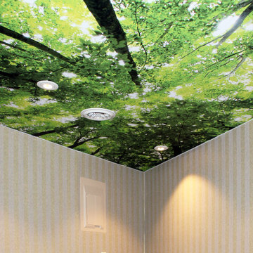 Trees on Translucent Backlit Stretch Ceiling