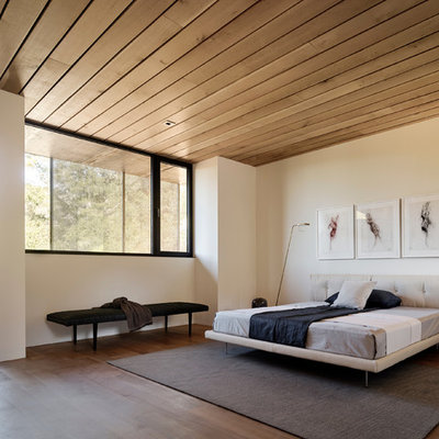 Inspiration for a modern master bedroom remodel in Los Angeles with white walls
