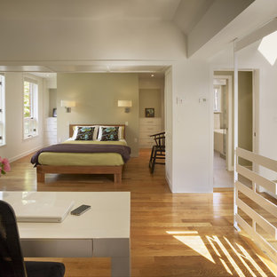 Imagen de dormitorio tipo loft, actual, con paredes verdes y suelo de madera en tonos medios