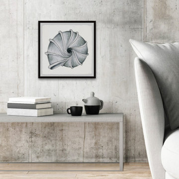 "Twirling Shell" Framed Painting Print