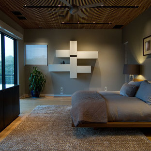 Inspiration for a large modern master light wood floor bedroom remodel in Dallas with brown walls and no fireplace