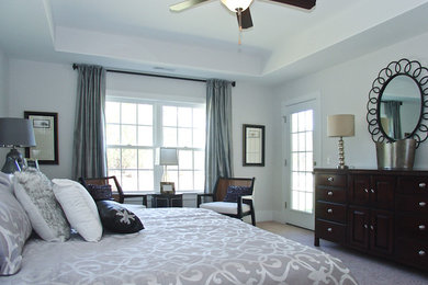 Inspiration for a mid-sized contemporary master carpeted bedroom remodel in Other with gray walls and no fireplace