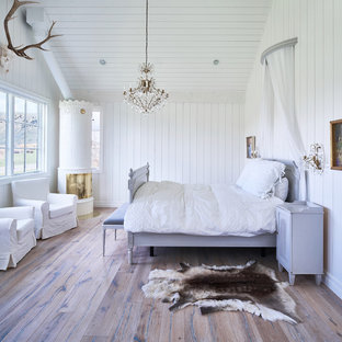 Modelo de dormitorio campestre con paredes blancas, suelo de madera oscura, estufa de leña y marco de chimenea de metal