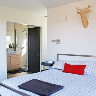 Imagen de dormitorio principal, contemporáneo, pequeño, con paredes blancas, suelo de cemento y chimenea de doble cara