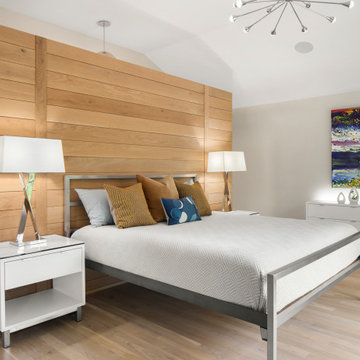 Wayzata Scandinavian Modern