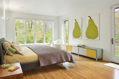 Inspiration for a contemporary master light wood floor bedroom remodel in New York with white walls