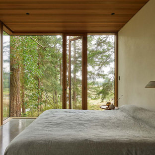 Imagen de habitación de invitados contemporánea con suelo de cemento