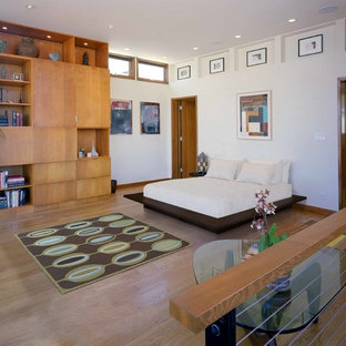 Bedroom - modern bedroom idea in San Francisco