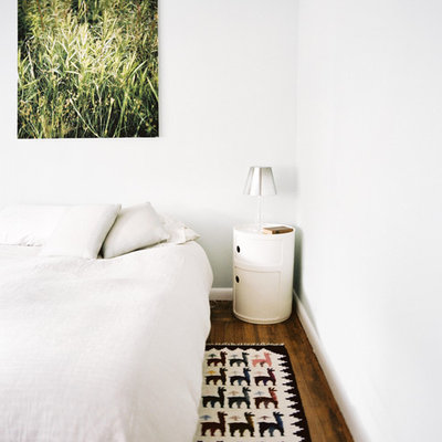 Bedroom - mid-sized modern master medium tone wood floor bedroom idea in New York with white walls and no fireplace