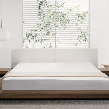 Worth Platform Bed By Modloft @ Direct Furniture