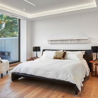 Immagine di una camera da letto bohémian con pareti bianche, parquet chiaro e nessun camino