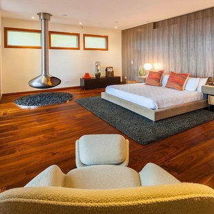 Modelo de dormitorio contemporáneo, extra grande, con chimenea lineal y marco de chimenea de metal