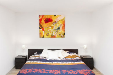 Esempio di una camera da letto stile loft contemporanea di medie dimensioni con pareti bianche e parquet chiaro