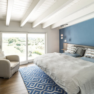 Esempio di una camera matrimoniale stile marinaro di medie dimensioni con pareti blu, parquet scuro e pavimento multicolore