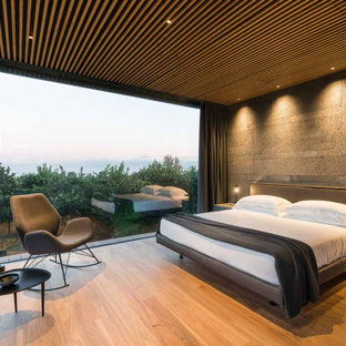 Ispirazione per una camera da letto minimalista con pareti grigie, pavimento in legno massello medio e pavimento marrone