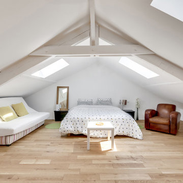Aménagement de combles et création d'un duplex à Maisons-Alfort