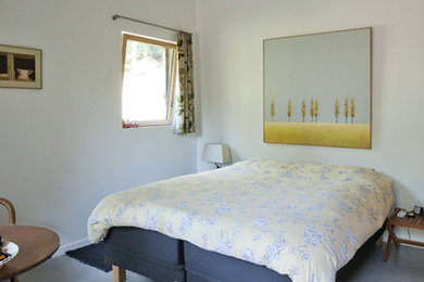 リールにある中くらいなコンテンポラリースタイルのおしゃれな客用寝室 (白い壁) のレイアウト