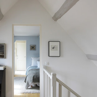 Design ideas for a medium sized country master bedroom in Paris with blue walls and light hardwood flooring.
