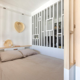 Design ideas for a small contemporary master bedroom in Paris with white walls and plywood floors.