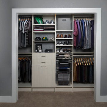 Arctic Reach-in Closet