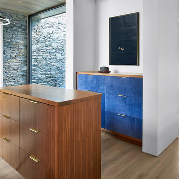 Contemporary Closet