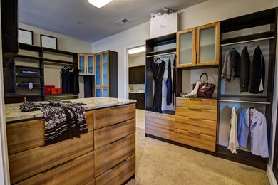 Example of a trendy closet design in Other with flat-panel cabinets