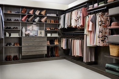 This is an example of a contemporary wardrobe in Other.
