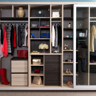 Ispirazione per un piccolo armadio o armadio a muro per donna minimal con ante lisce, ante in legno scuro, moquette e pavimento beige