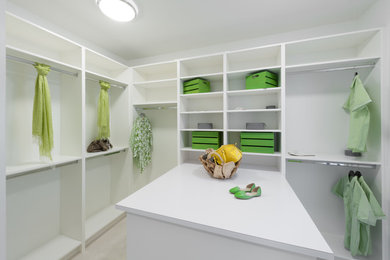 Mid-sized trendy gender-neutral carpeted walk-in closet photo in Calgary with flat-panel cabinets and white cabinets