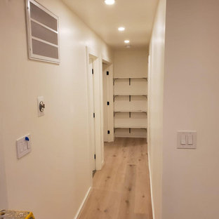 Idee per un piccolo armadio o armadio a muro minimalista con parquet chiaro e pavimento multicolore