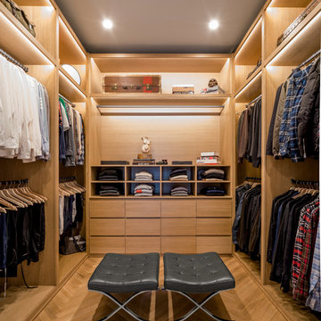 Contemporary Closet
