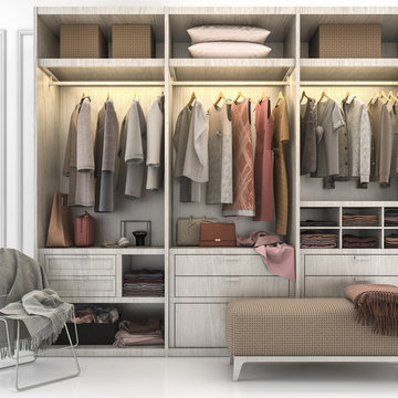 Contemporary Closet Organization