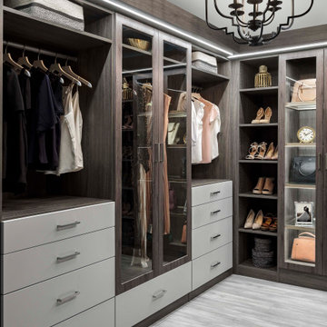 Contemporary Dream Closets