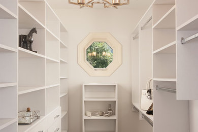 Walk-in closet - mid-sized contemporary gender-neutral medium tone wood floor and brown floor walk-in closet idea in Louisville with flat-panel cabinets and white cabinets