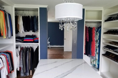 Inspiration for a large transitional light wood floor walk-in closet remodel in Boston with dark wood cabinets
