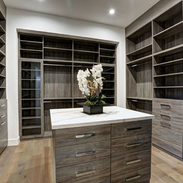 Dream Walking Closet