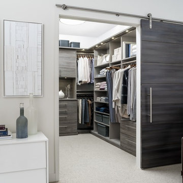 Elegant Master Closet