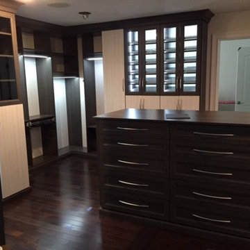 Gorgeous Walk In Closet - Loudonville, NY