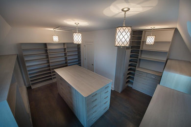 Inspiration for a large contemporary gender-neutral dark wood floor walk-in closet remodel in Chicago with flat-panel cabinets and gray cabinets
