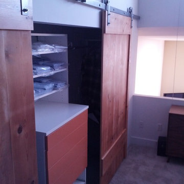 Interior Barn Door