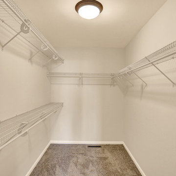 Large Master Closet with Shelving and Grey Carpet