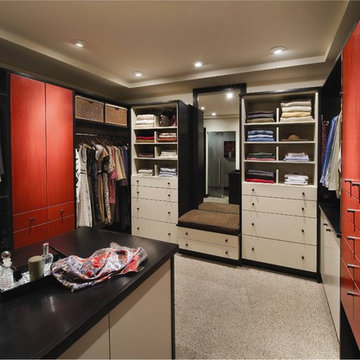 Linear Solutions Closet by Wood-Mode