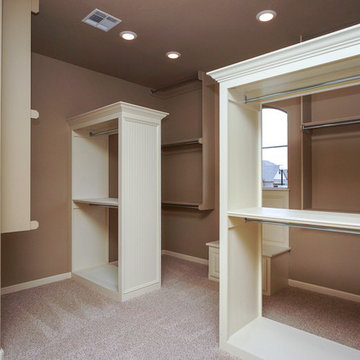 Luxurious Walk-In Closet