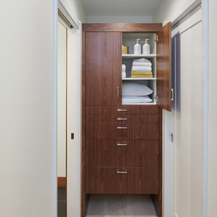 Example of a small 1950s gender-neutral carpeted and beige floor dressing room design in Minneapolis with flat-panel cabinets and medium tone wood cabinets
