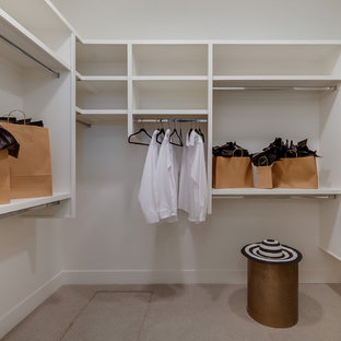 Foto di una grande cabina armadio unisex classica con nessun'anta, ante bianche, moquette e pavimento beige