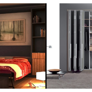 Modern custom closet or modern panel bed, or maybe both?