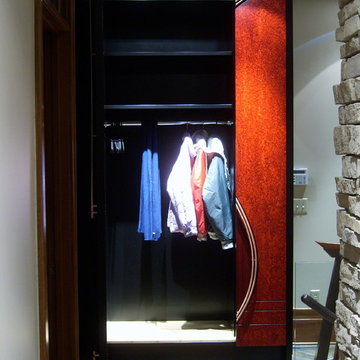 Modern Entry Closet