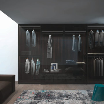 Modern walk in closet with glass cabinets