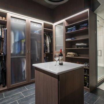 Modern Walk-in with Lighting